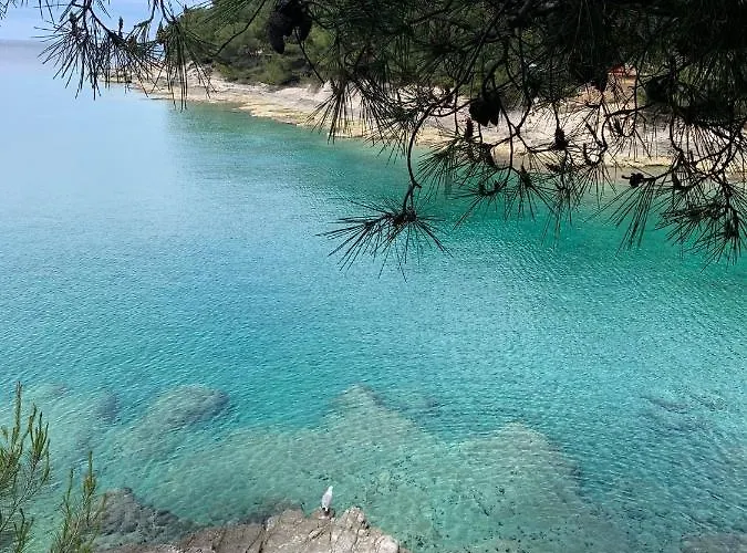 Augusta Lejlighed Pula